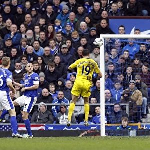 Premier League Collection: Everton v Reading : Goodison Park : 02-03-2013