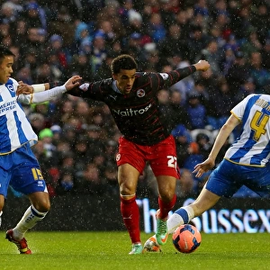 FA Cup Jigsaw Puzzle Collection: FA Cup : Round 3 : Brighton and Hove Albion v Reading : AMEX Stadium : 04-01-2014