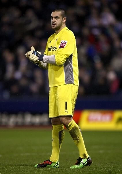 FA Cup Fifth Round Replay: West Bromwich Albion vs. Reading - Adam Federici's Action-Packed Performance at The Hawthorns