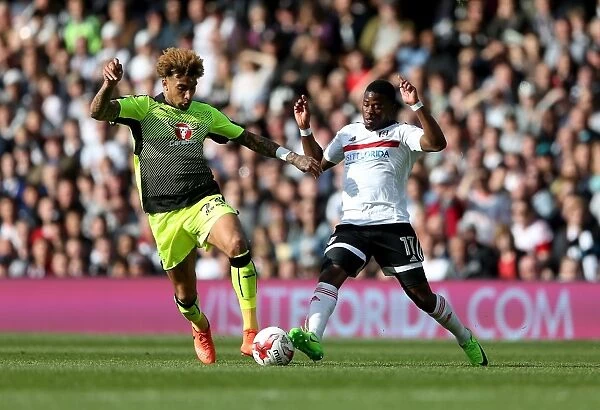 Fulham vs. Reading: Intense Moment between Danny Williams and Floyd Ayite in Sky Bet Championship Play-off First Leg at Craven Cottage