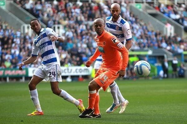 Shaun Cummings Overpowers Ludovic Sylvestre: Reading vs Blackpool Championship Clash at Madejski Stadium