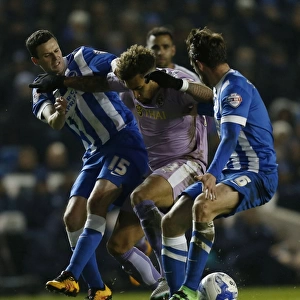Championship Clash at the AMEX: A Battle of Midfielders - Williams, Murphy, and Stephens Go Head-to-Head (Reading vs. Brighton and Hove Albion)