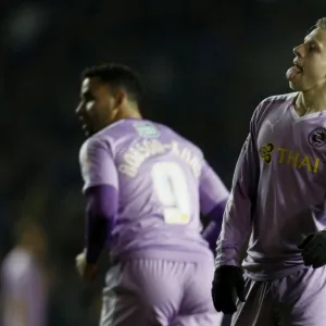 Sky Bet Championship Photographic Print Collection: Brighton and Hove Albion v Reading