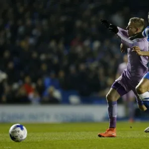 Sky Bet Championship - Brighton and Hove Albion v Reading - AMEX Stadium