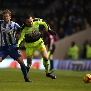 Sky Bet Championship - Brighton and Hove Albion v Reading - AMEX Stadium