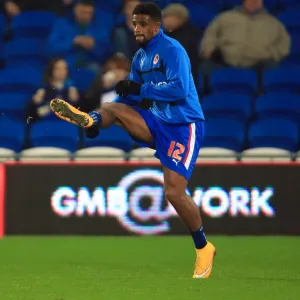 Sky Bet Championship Photographic Print Collection: Cardiff City v Reading