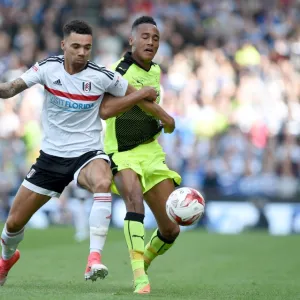 Sky Bet Championship - Play off - First Leg - Fulham v Reading - Craven Cottage