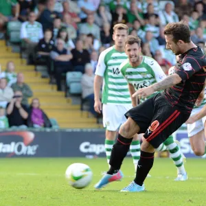 Sky Bet Championship Photographic Print Collection: Sky Bet Championship : Yeovil v Reading