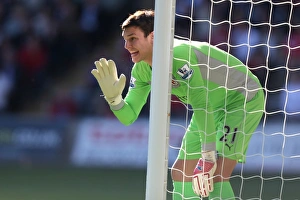 Barclays Premier League - Swansea City v Reading - Liberty Stadium