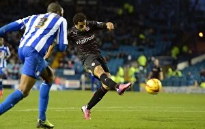 Sky Bet Championship : Sheffield Wednesday v Reading Collection: Battle for Championship Glory: Sheffield Wednesday vs. Reading (2013-14)