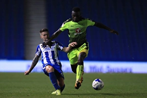 Brighton and Hove Albion v Reading - EFL Cup - Third Round - AMEX Community Stadium Brighton and Hove Albion v Reading - EFL Cup - Third Round - AMEX Community Stadium