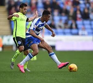 Images Dated 31st October 2015: Clash at Madejski: McCleary vs. Baldock - Reading vs. Brighton and Hove Albion