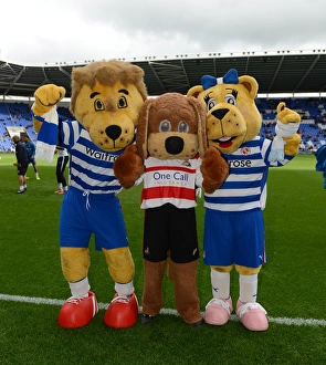 A Fierce Sky Bet Championship Clash: Reading FC vs Doncaster Rovers (2013-14)