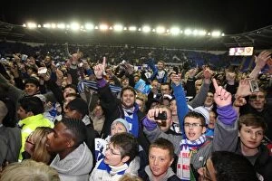 Images Dated 17th April 2012: Reading FC: Unforgettable Championship Victory - Fans Invade Madejski Stadium Pitch