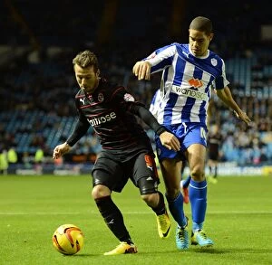 Sky Bet Championship : Sheffield Wednesday v Reading Collection: Reading FC's Championship Showdown: Sheffield Wednesday vs. Reading (2013-14) - The Battle for Glory