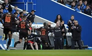 Sky Bet Championship : Brighton and Hove Albion v Reading Collection: Royston Drenthe's Equalizer: Reading at The AMEX Stadium vs. Brighton and Hove Albion