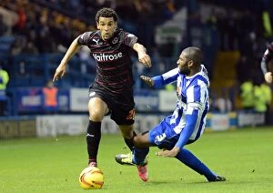Images Dated 2nd November 2013: Sheffield Wednesday vs. Reading: 2013-14 Sky Bet Championship Clash