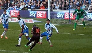 Sky Bet Championship : Brighton and Hove Albion v Reading Collection: Sky Bet Championship 2013-14: Brighton and Hove Albion vs. Reading - A Championship Clash