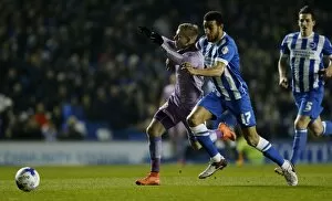 Brighton and Hove Albion v Reading Collection: Sky Bet Championship - Brighton and Hove Albion v Reading - AMEX Stadium